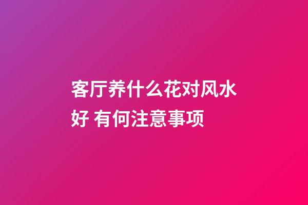 客厅养什么花对风水好 有何注意事项